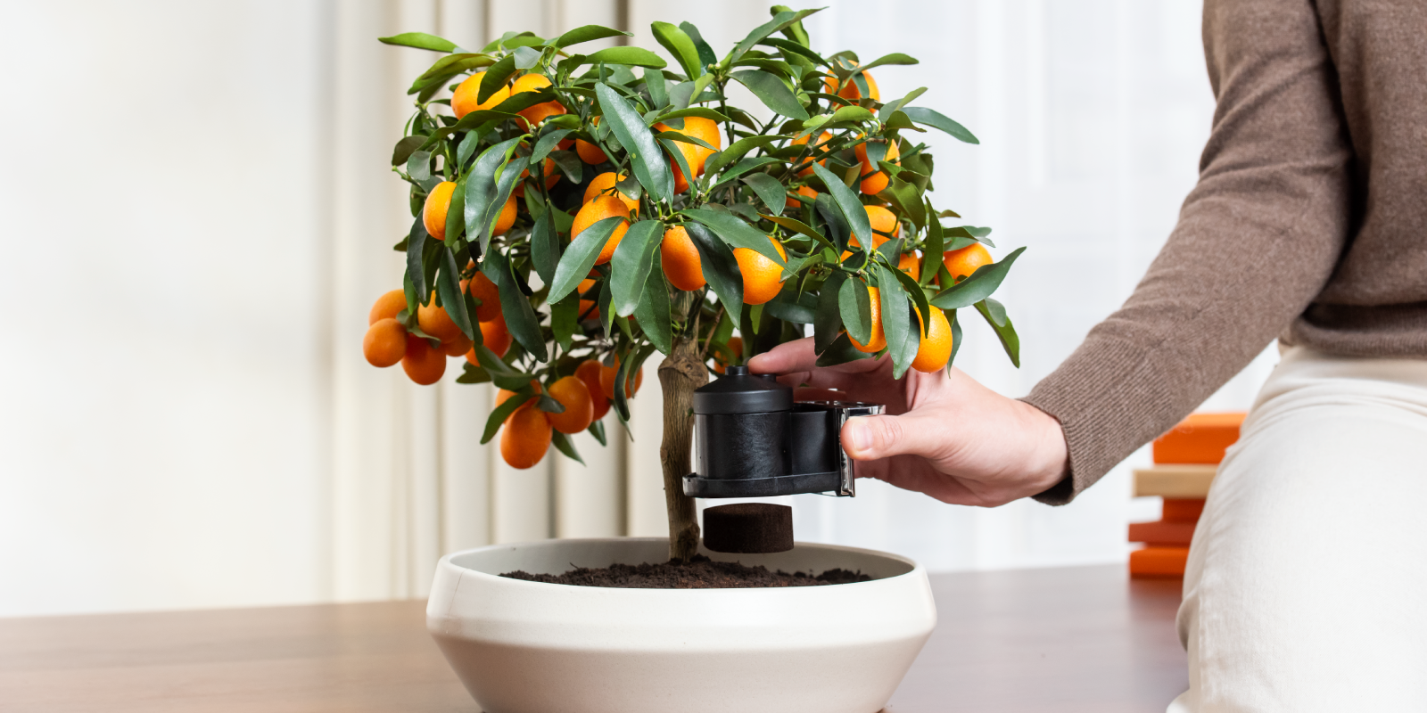 E DOPO OGNI UTILIZZO